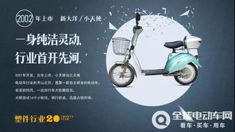 之前的老干媽辣嘴 現在開始辣眼 形象級產品形成的品牌壁壘 電動車如何打造