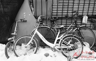 留在記憶中的合肥自行車(chē)廠(chǎng)