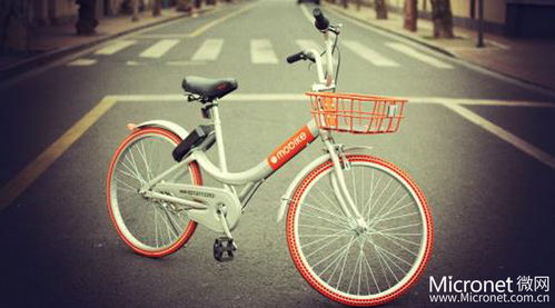 共享快遞盒 綠色物流新革命，一年可省下46個小興安嶺的木材資源